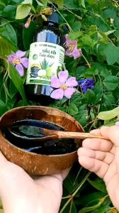 Dầu gội thảo dược Bồ Kết (tặng tuýp kem xả 50gr) [MyMy - Sản phẩm handmade]