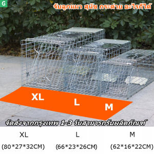 【ส่งจากกรุงเทพ】กรงดักแมวCatTrap4You Size XL เหล็กเส้นชุบกาวาไนท์กันสนิม สามารถพับได้ จับแมวจรจัด จับแมว ดักจับแมว ดักจับแมวจร ไล่แมวถาวร ปลอดภัยต่อคนและสัตว