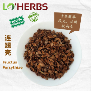 Loherbs 连翘 Fructus Forsythiae