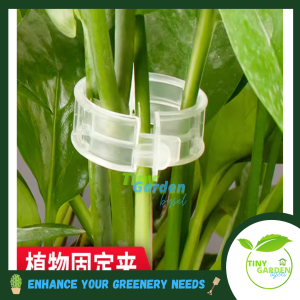 Garden Plant Support Clip (6pcs) 植物固定夹 (STC22499)
