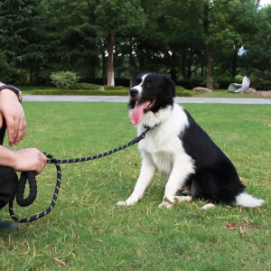 Heavy Duty Reflective Dog Leash Strong Durable Nylon Rope with Padded Handle Pet Leashes for Big Medium Dogs Walking Running Training Hiking