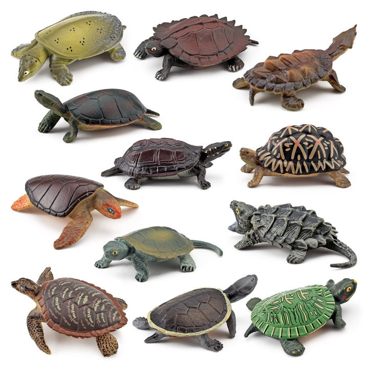♞In Stock Wholesale♞Simulation Amphibious Reptile Turtle Model