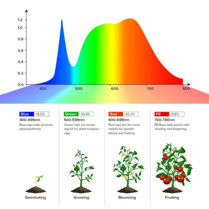 SANSI%2040W%20LED%20Grow%20Light%20Bulb%20Daylight%20Full%20Spectrum%20Dimmable%20E27%20With%20Remote%20Control%20Lampu%20Pokok%20Bunga%20-%20Image%205