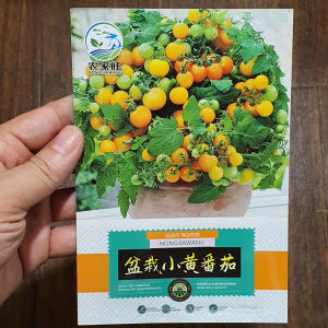 Hạt giống cà chua bi vàng lùn có thể trông chậu hạt giống cà chua bi vàng nhập khẩu - Yến Liên shop