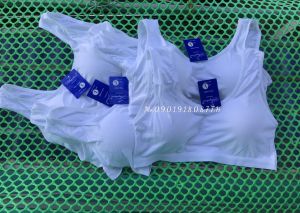 3 áo lót lá có mút thun cotton lụa cao cấp cho học sinh cấp 1 cấp 2 tuổi dậy thì mềm mịn co giãn thoải mái A3LM nội y MarketOnline