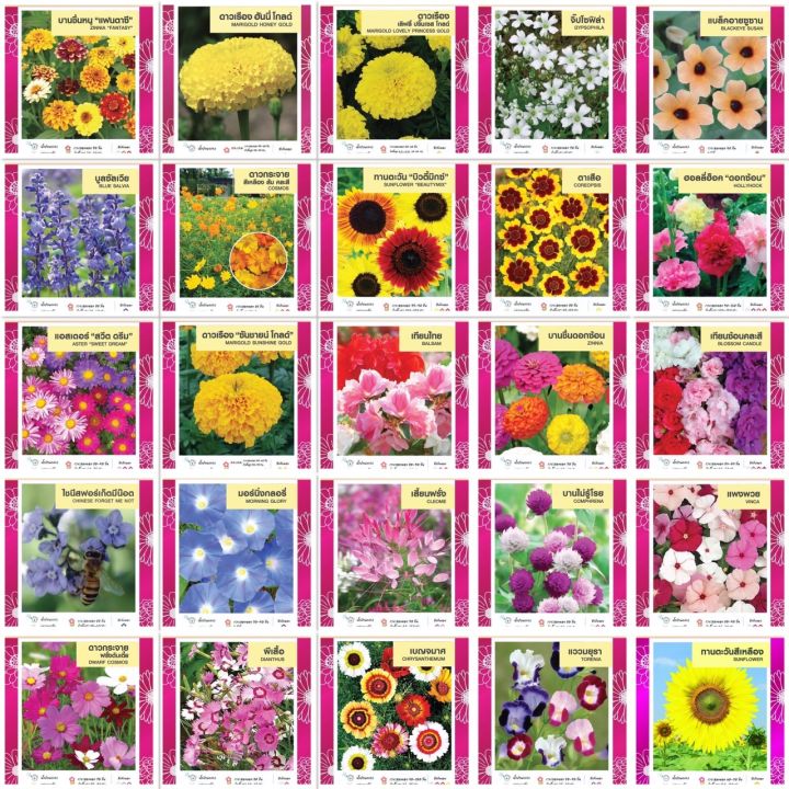 เมล็ดพันธุ์ดอกไม้รวม เจียไต๋ กว่า 30 ชนิด หลากสีสัน