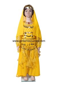 READY STOCK Kids Children Indian Costume Arabian Belly Dance Costume Movie Character Jasmine Bollywood Concert Costume