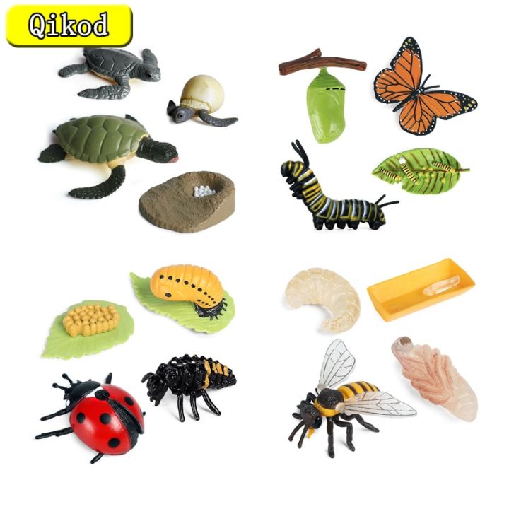 New Simulation Animal Insect Life Cycle Model Bee Butterfly Growth ...