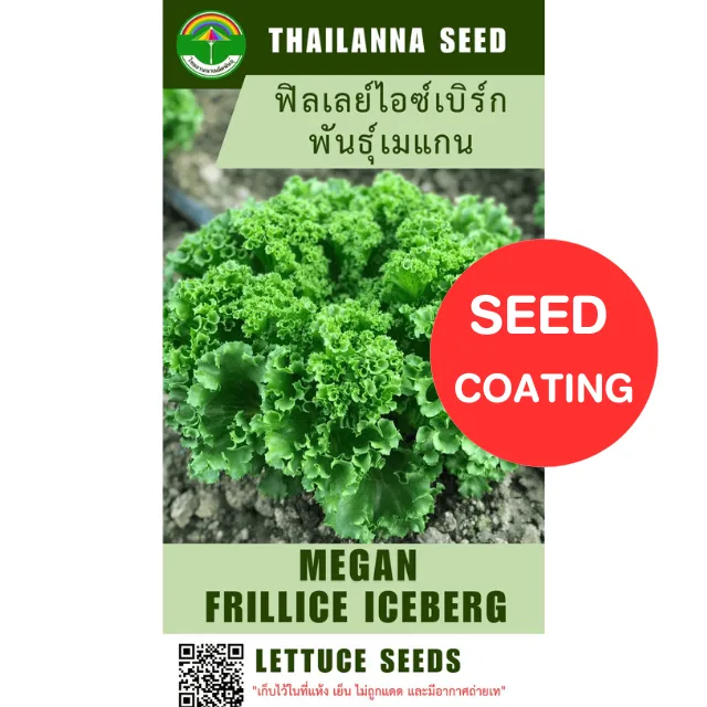 เมล็ดพันธุ์ผักสลัด ฟิลเลย์ไอซ์เบิร์ก พันธุ์เมแกน เมล็ดเคลือบ