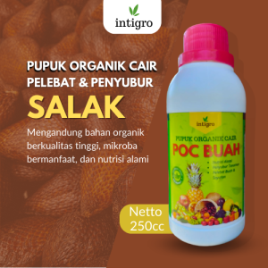 Pupuk Pembesar Buah Salak / Pupuk Booster Salak / Pupuk Pelebat Buah Salak / Pupuk Buah Salak Cair