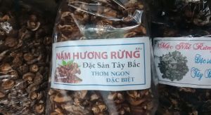 Nấm hương rừng 1kg