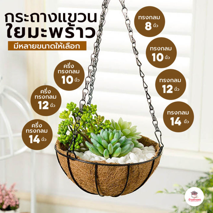 กระถางแขวนใยมะพร้าวตกแต่งสวนสำหรับแคคตัส ไม้อวบน้ำ