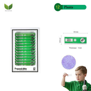 Kids Portable Microscope Outdoor Exploration – Handheld Science Mini Microscope for Children 3 ColorsEducational Toy for Nature Observation Plant & Leaf Viewing Easy to Use