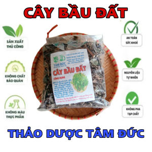 100g cây bầu đất sấy khô