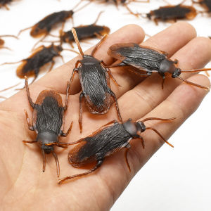 Gián giả chân thực đồ chơi ngày Cá tháng Tư gián giả đáng sợ gián giả để chơi khăm gián giả để trêu chọc. KNC