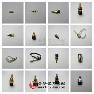 462 Delphi Second Generation Nozzle Plug Suitable for Jebo Changhe Dolphin Hafei Public Opinion Nozzle Plug