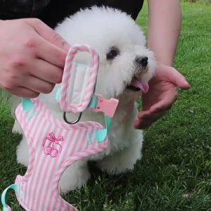 2026 Hot Sale [ Shipped from China ] Pet leash to prevent escape cute dog harness with contrasting color stripes vest-style chest harness for small dogs B3