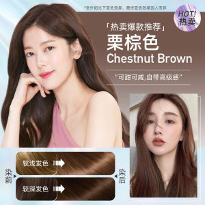 500ml Plant Extract Bubble Hair Dye Shampoo Jiang Xiao Cai Pure Plant Extract Grey Hair Color Bubble Dye SG Ready Stock