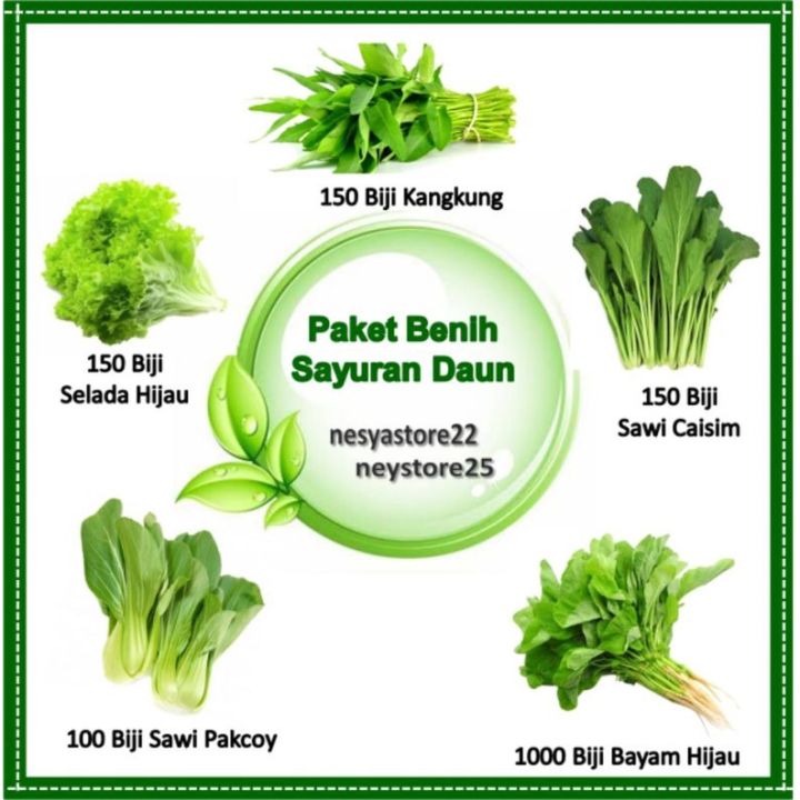 Paket Benih Bibit Sayur Sayuran Daun Benih Kangkung Caisim Bayam Hijau