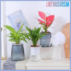 【Enthusiasm】🌟🌟【Hot Sale】🎈 Double-layer Self Watering Plant Pot Transparent Plastic Flower Vase Automatic Lazy Potted Flower Pot Hydroponic Flowerpot Decor