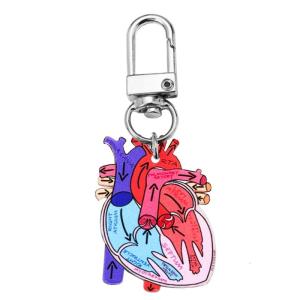 Portable Human Organs Keychain Heart Anatomy Keychain Lightweight Key Rings Accessory for Healthcare Workers