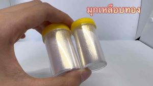 ลดราคา ผงมุกประกายสี เหลือบ ม่วงน้ำเงินแดงเขียวส้มทอง สำหรับผสมสีพ่นรถ สีทา สีต่างๆ ตกแต่งสไลม์ งานฝีมือ งานเรซิ่นต่างๆ