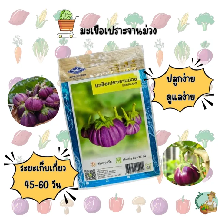 8 อันดับ เมล็ดพันธุ์มะเขือและมะเขือเทศยอดนิยม ปลูกง่าย ได้ผลดี อัปเดตปี 2025