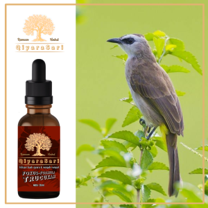 doping tetes trucukan - vitamin burung trucukan konslet - penggacor trucukan - vitamin penggacor burung trucukan qiyara sari 20 ml  - doping burung curucukan - doping tetes burung crocok