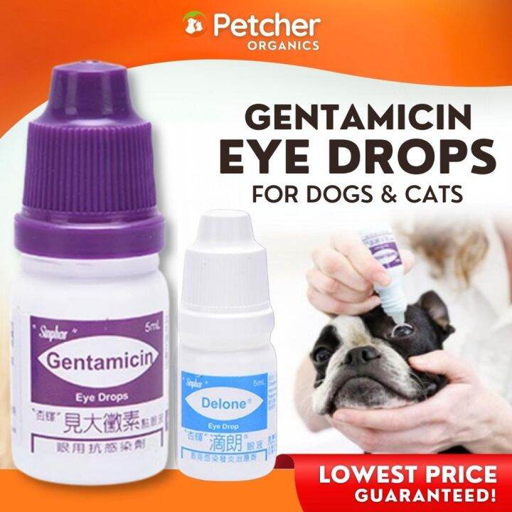 Gentamicin & Delone for Dogs Gentamicin Eye Drops Cat 5ml Solution and