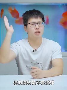 LZD Fish Tank Mesh Bag Aquarium Fine Hole Large Small Size Zipper over Net Pocket Pocket Nylon High Quality Net Pocket