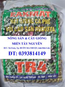 1 KG HẠT GIỐNG CÀ PHÊ VỐI CAO SẢN ROBUSTA TR4 [ 138  ]. HẠT ĐẸP TUYỂN CHỌN BAO NẢY MẦM ĐÓNG GÓI KỸ HÚT CHÂN KHÔNG NHƯ HÌNH  Ạ