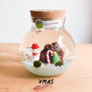 READY MADE THEMED SMALL Volcanic Shrimp Marimo Moss Aquarium (inc Car Delivery)