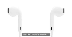 Suitable for iPhone 8X  Vietnam Headphones ios Original Cracked Version lightning In-ear Cable Earphone