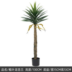 Dracaena Marginata ต้นจันทร์ผา ต้นไม้มงคลปลอม ต้นดราแคน่า 130/160 ซม ต้นไม้เสมือนจริง ของตกแต่งภายในและภายนอก