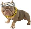 2Pack Dog Costume Set, Adjustable Gold Plated Dog Chain Collar and Headband Hip Hop Square Satin Head Scarf Head Cover Apparel Party Costume Cosplay Accessories for Medium Large Dogs(Blue). 