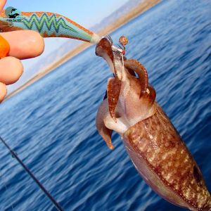 4.0# Factory Price Yamashita Squid Jig Lure Fishing Shrimp Lure Artificial Baits