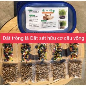 *HCM* Bộ Kit Tự Trồng Cỏ Mèo Tươi Siêu Dễ Bằng Đất Dinh Dưỡng Pha Lê An Toàn
