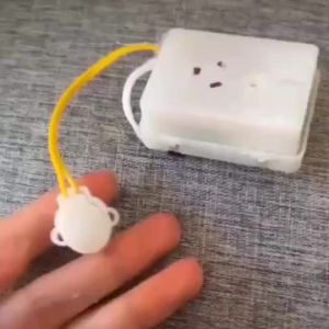 【Ship in 24H】可录音DIY音乐盒按捏发声器毛绒玩具录音器表白神器可放挂件娃娃Recording DIY with Pinch Speaker Hair