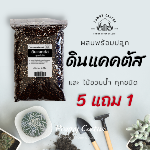 ดินปลูกแคคตัส ดินปลูกกระบองเพชร ดินปลูกไม้อวบน้ำ สูตรโปร่งพิเศษ รากเดินดี ดินแคคตัส ดินปลูกแคตตัส ดินปลูกสมุนไพร