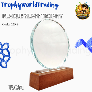 GLASS PLAQUE AWARD TROPHY HEIGHT:18CM(CUSTOMIZE AVAILABLE)620-8