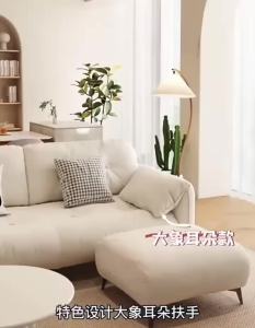 Clean free technology fabric sofacloud cloth art living room double apartment sofa