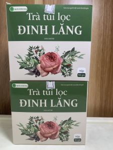 Combo 4 hộp (160 gói) trà túi lọc đinh lăng trà đinh lăng hoạt huyết dưỡng não ngủ ngon rối loạn tiền đình thiếu máu hoa mắt chóng mặt HN