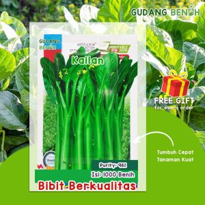 [TERMURAH] Bibit Tanaman Sayuran Kailan High Quality Isi 1000 Benih
