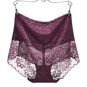 Seductive Lace Underwear for Women High Waist Breathable Triangle Cut