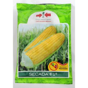 Jagung Secada 88 f1 kemasan pack isi 250gram