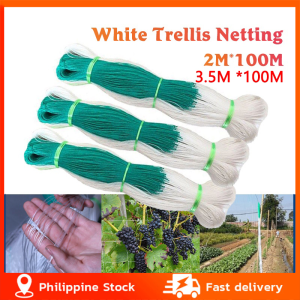 [Spot +24hours delivery]Garden Plant Climbing Net Cucumber Vegetables Trellis Net Plant Support Netting White Nylon Support Mesh 2Mx100M