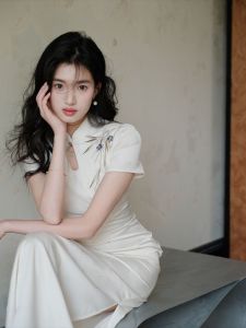 Ruige [Plain Porcelain] Chinese Style New Chinese Style Slimming Improved Embroidery Improved Cheongsam Dress Womens 2024 Summer New