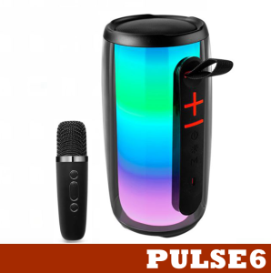 PLUSE6 TWS Bluetooth V5.0 Portable Wireless support AUX In/USB/TF Card Bluetooth RGB Speaker with Wireless Microphone