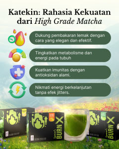 ( TRIAL SACHET ) SPENCERS BURN X Mango Lemonade - 1 Box 20 Sachet Pembakar Kalori dan Lemak Alami Penunjang Langsing