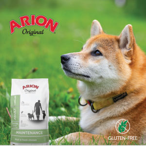 ARION ORIGINAL MAINTENANCE MEDIUM BREED 12KG